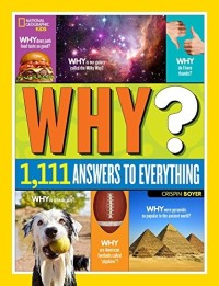 Image of Why? Over 1.111 Answer to Everything